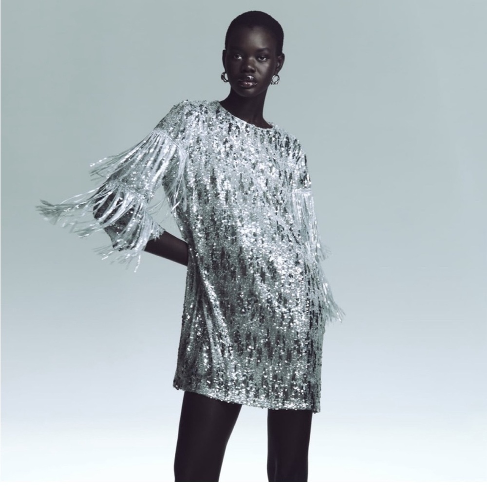 Zara Metallic Silver Fringe Sequin mini Shift Dress Size S